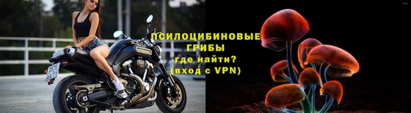 хмурый Краснослободск
