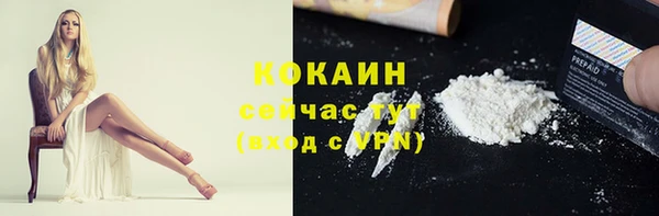 прущие грибы Красноперекопск