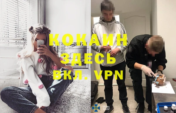 прущие грибы Красноперекопск