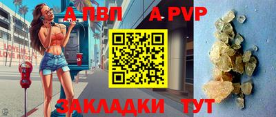 стаф Краснодар