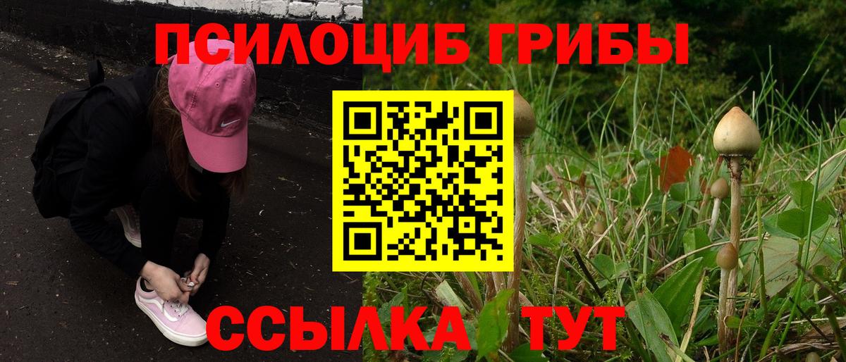 Кувандык  Псилоцибиновые грибы GOLDEN TEACHER  купить закладку  Вход с VPN 